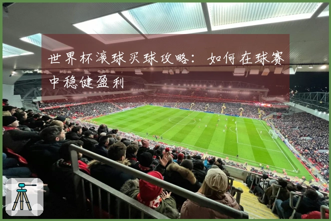 世界杯滚球买球攻略：如何在球赛中稳健盈利