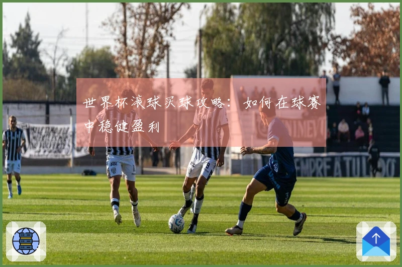 世界杯滚球买球攻略：如何在球赛中稳健盈利