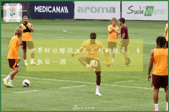 世界杯让球投注怎么判断胜负，专家教你一招